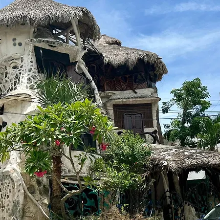 La Quinta Orquidea