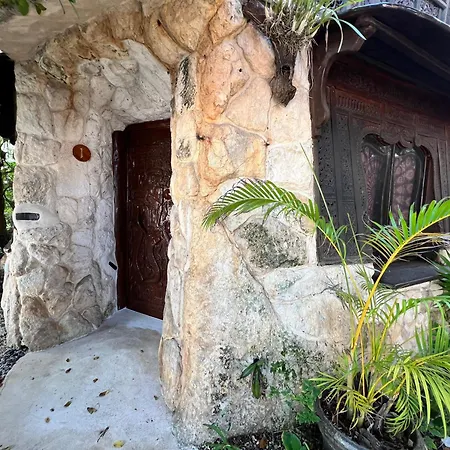 La Quinta Orquídea