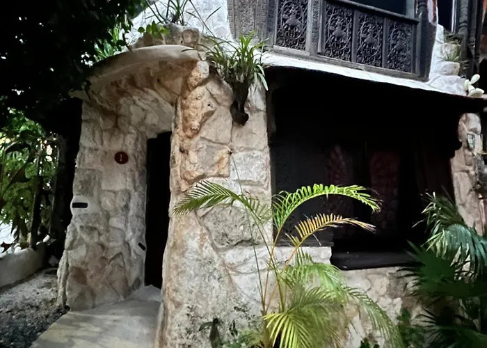 La Quinta Orquídea Puerto Morelos