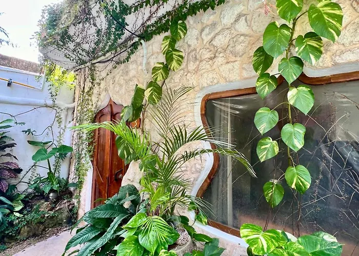 La Quinta Orquídea