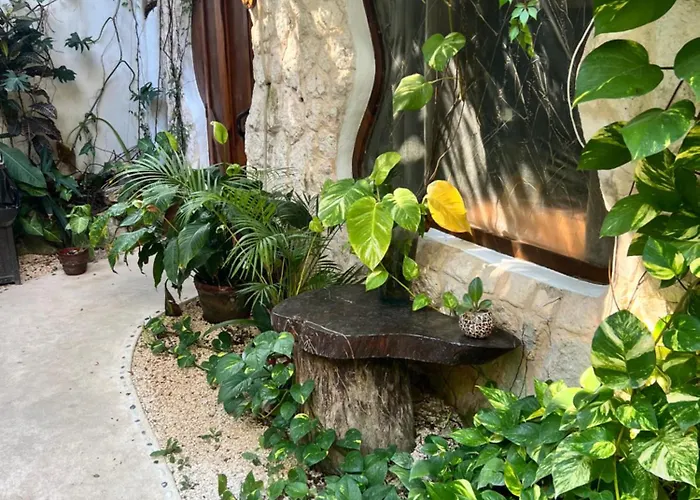 Bed and breakfast La Quinta Orquídea 3*