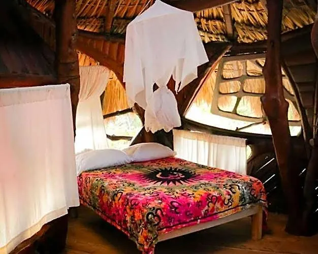 Bed and breakfast La Quinta Orquídea